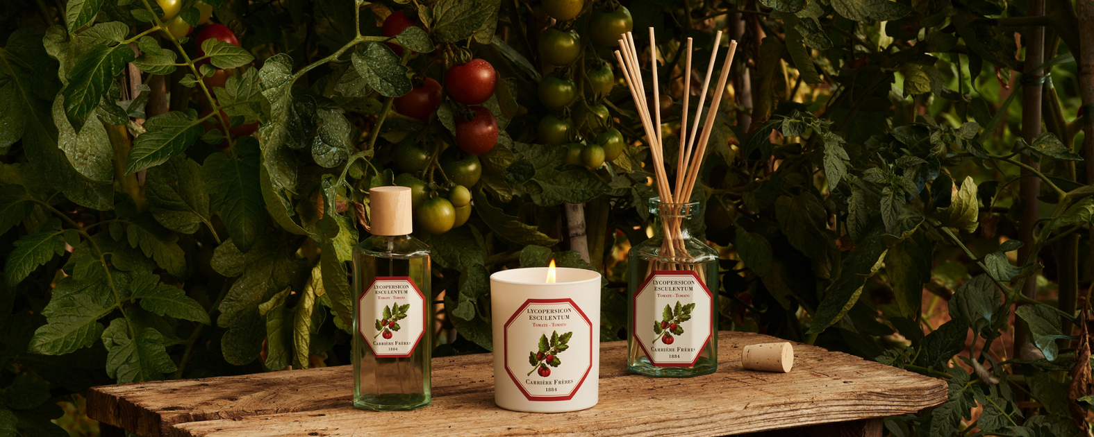 Carrière Frères - Scented Canldes/Diffuser - FUNSTY