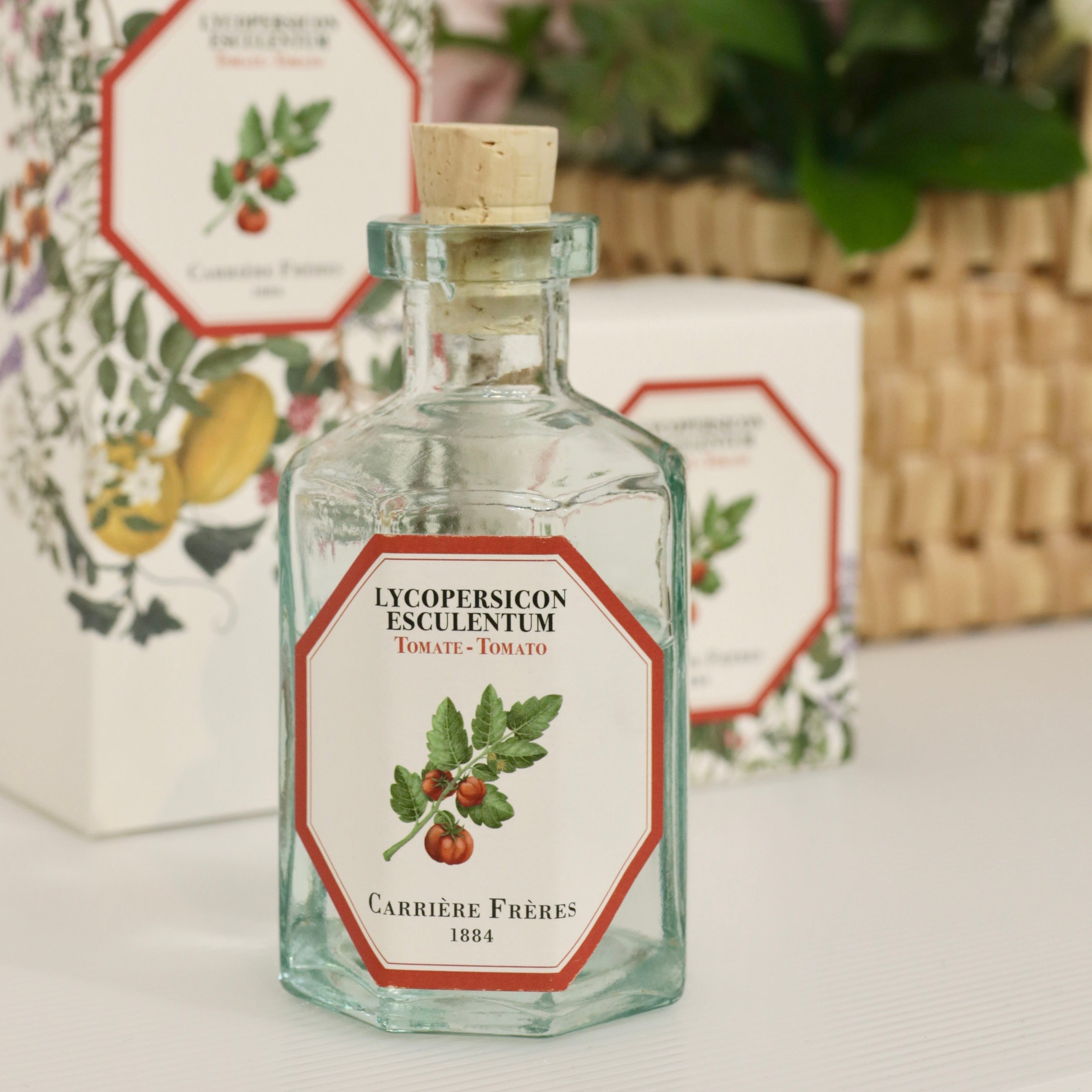 Carrière Frères Diffuser - Tomato Lycopersicon Esculentum– FUNSTY